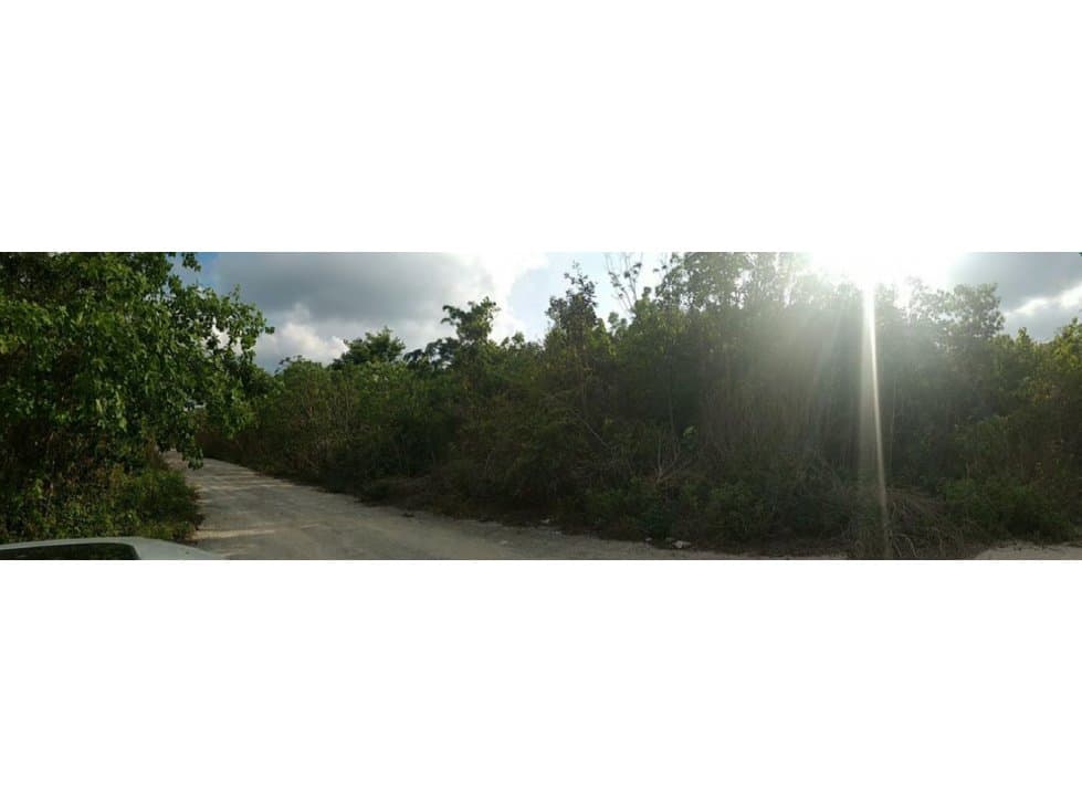 TERRENO DE OPORTUNIDAD EN VENTA COL MÉXICO — foto 1