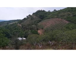 TERRENO EN VENTA CON AGAVE TEPATITLAN