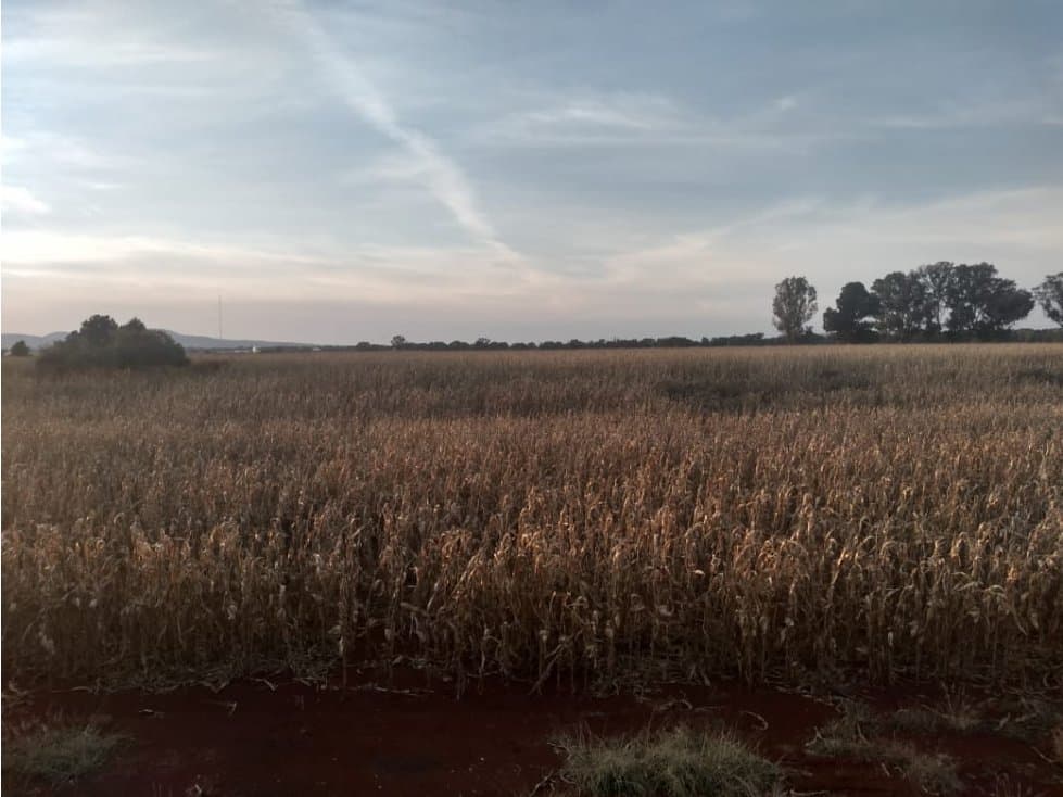 RANCHO EN VENTA TEPATITLAN JALISCO — foto 5