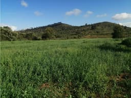 TERRENO EN SINGUILUCAN, COL. LOS NEGRITOS.