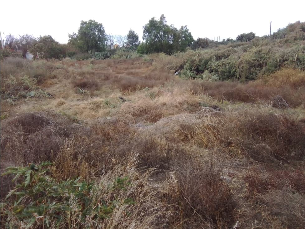 TERRENO EN SANTIAGO, COL. EXQUITLÁN — foto 5