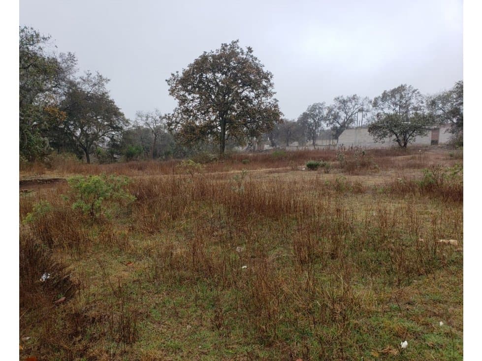 TERRENO EN OPORTUNIDAD, TULANCINGO — foto 4