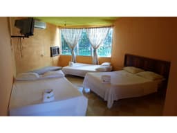 RENTA - Hotel Villas Palenque