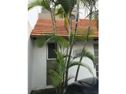 Casa en Venta en Cuernavaca - Flores Magon NUEVA