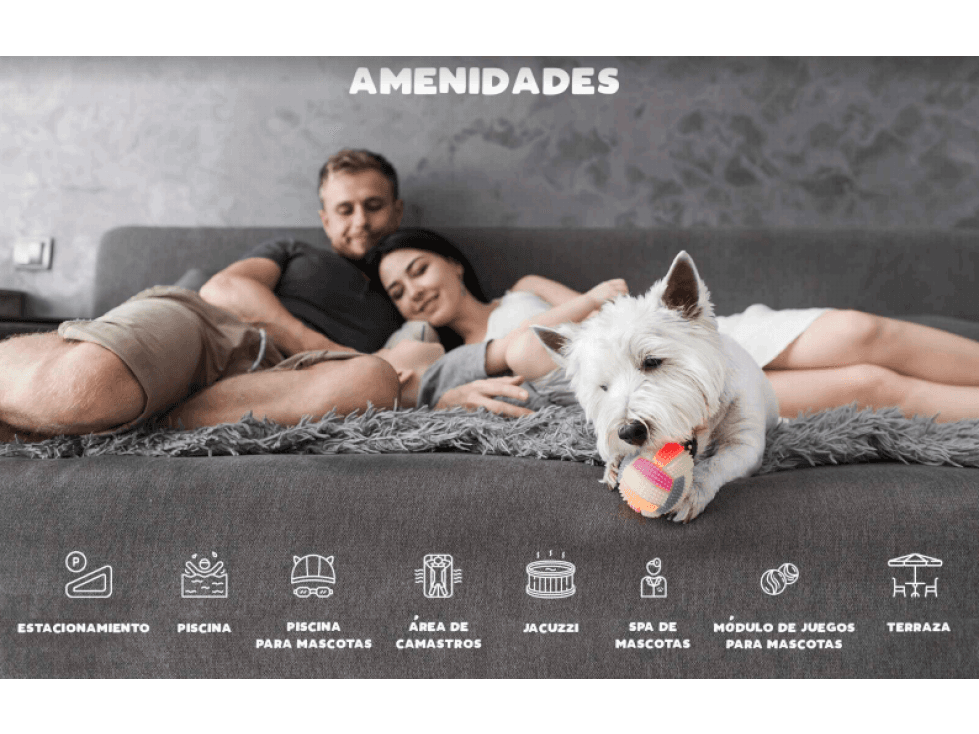 Departamentos en Venta en Tulum Pet Friendly — foto 3