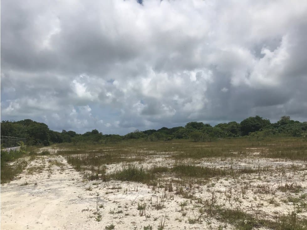 Terreno de 6ha Bien Ubicado en Av Colosio, Cancun — foto 2