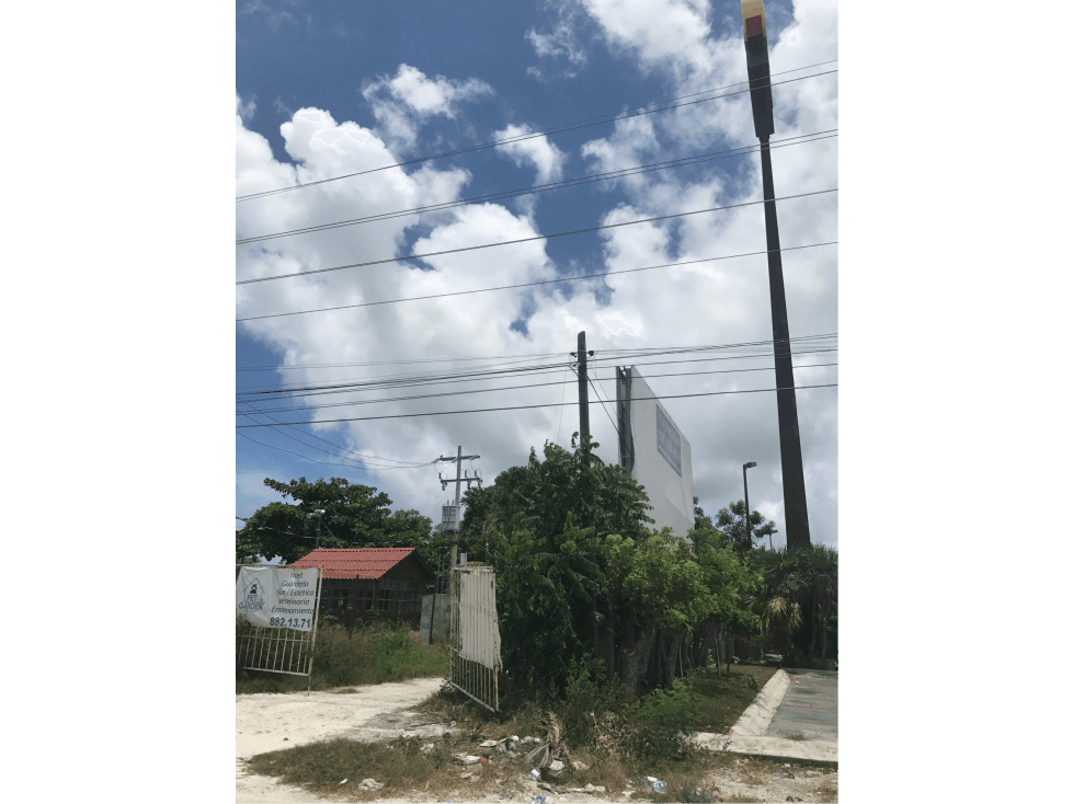 Terreno de 6ha Bien Ubicado en Av Colosio, Cancun — foto 5