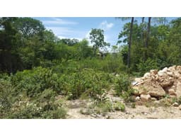 TERRENO EN "LA VELETA" TULUM QUINTANA ROO