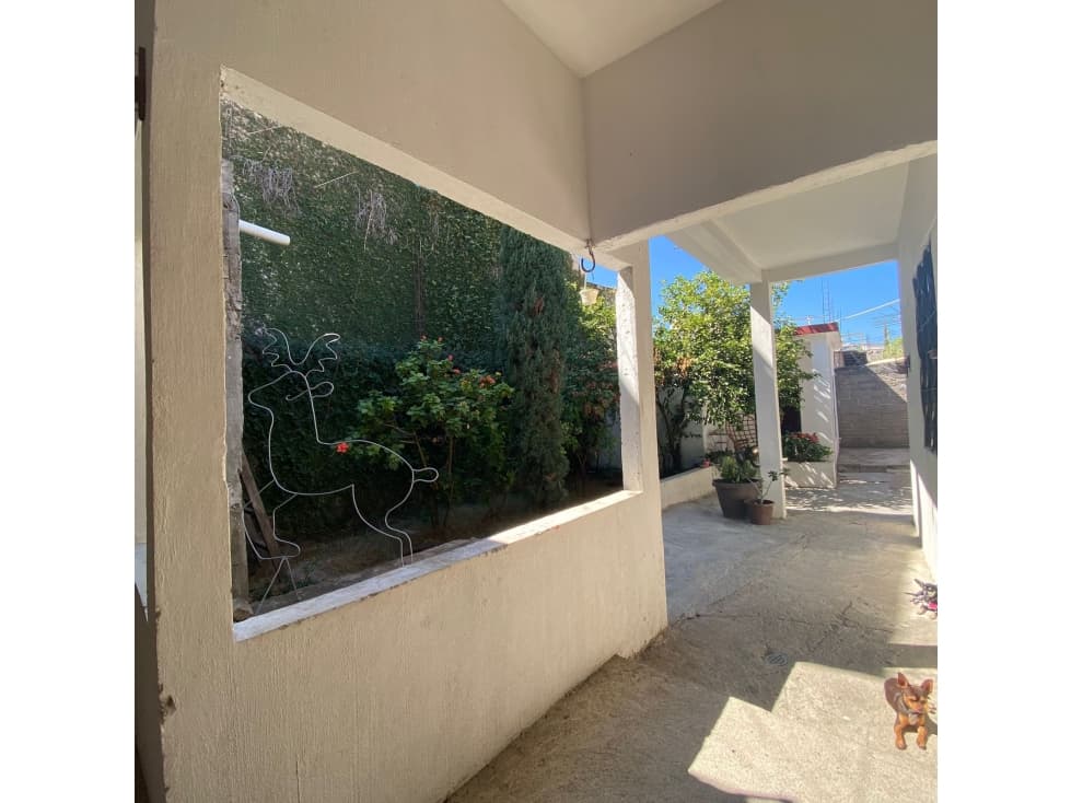 CASA EN VENTA EN COLONIA LAS FLORES — foto 5