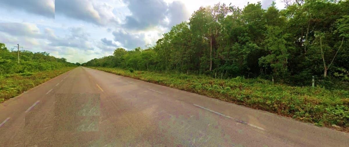Venta terreno carretera  federal  Tulum-Carrillo Puerto — foto 2