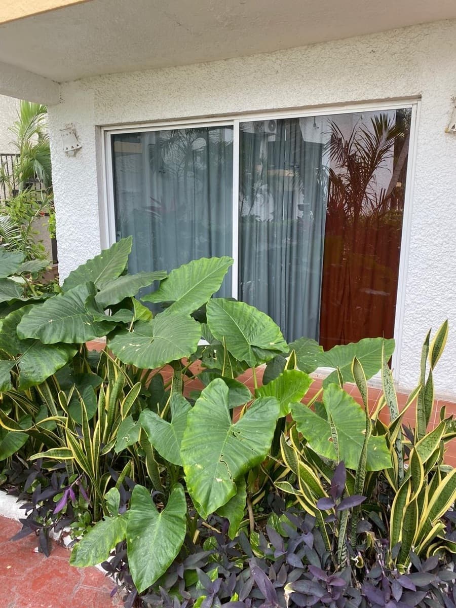 SE VENDE HERMOSO HOTEL EN CANCUN — foto 4
