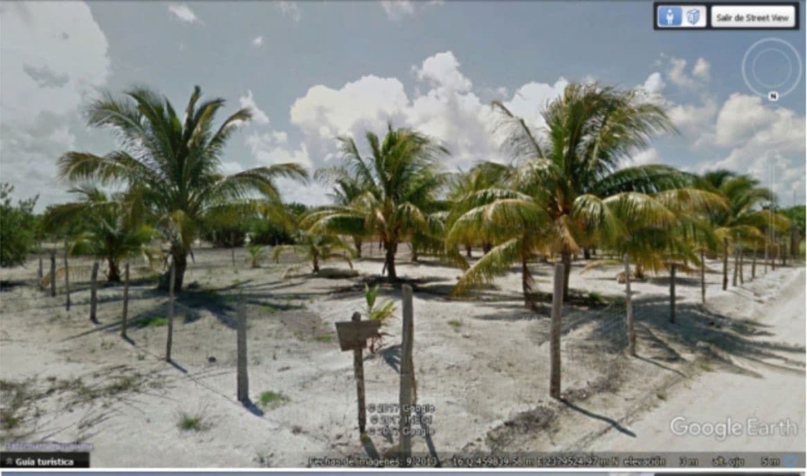 Terreno Holbox Pez Vela 1000m2 — foto 1