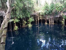 Terreno ,97 hectáreas mayacoba,playa del carmen.