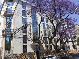 Departamento - Roma Norte