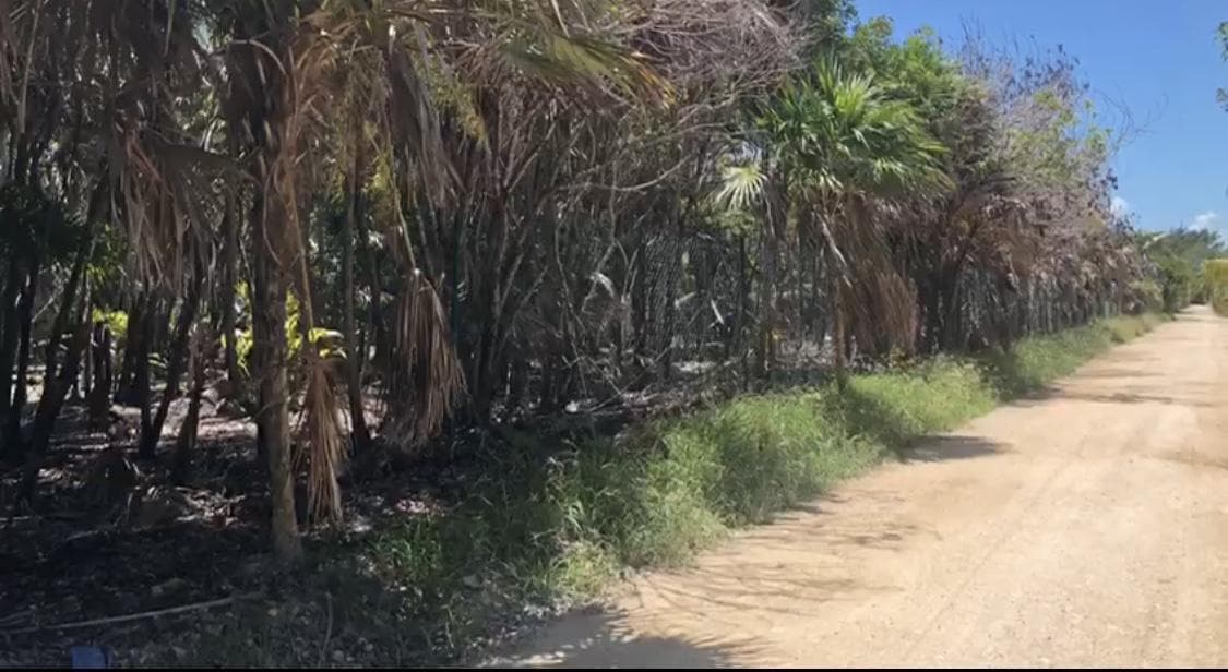 Terreno en Venta  - TULUM - PUNTA ALLEN km 40 — foto 2