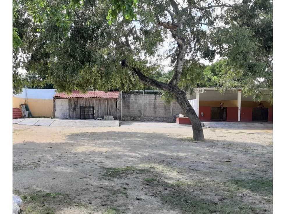 Lote de uso mixto pueblo de Puerto Aventuras. — foto 5