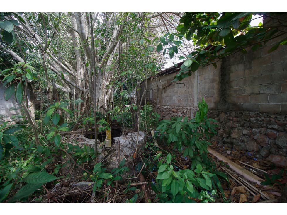 Amplio terreno con casita en Valladolid — foto 6