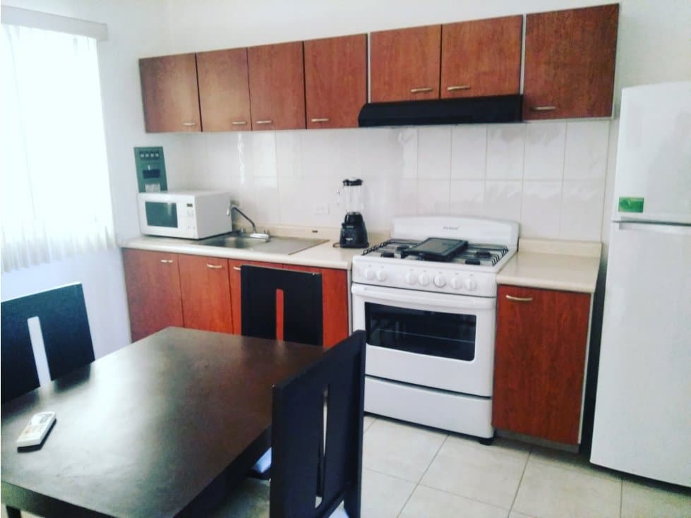 RENTA DEPARTAMENTO AMUEBLADO PLAYA NORTE CARMEN — foto 2
