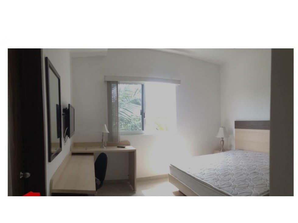RENTA DEPARTAMENTO AMUEBLADO PLAYA NORTE CARMEN — foto 3