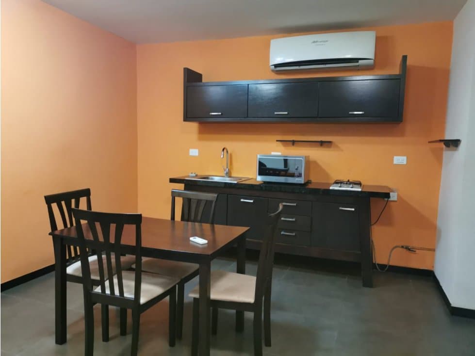 RENTA DEPARTAMENTO DE 2 CUARTOS PLAYA NORTE CARMEN — foto 2