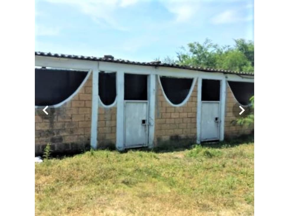 OFERTA, VENTA DE AMPLIO RANCHO DE 16 MIL METROS — foto 5