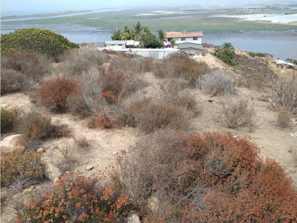 Venta de terrenos en Ex Ejido Esteban Cantú. — foto 4