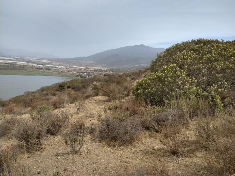 Venta de terrenos en Ex Ejido Esteban Cantú. — foto 6