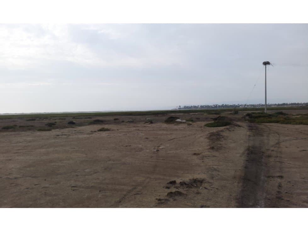 Terreno en Maneadero — foto 2