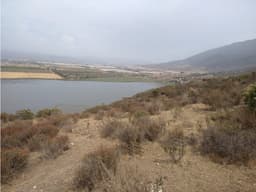 Venta de terrenos en Ex Ejido Esteban Cantú.