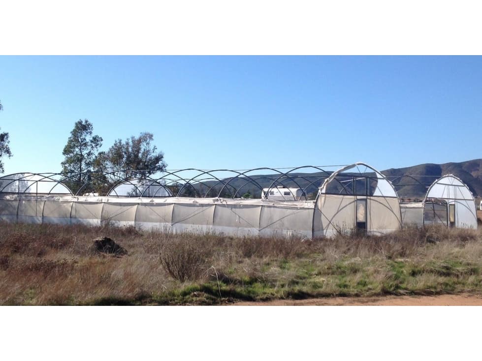 Propiedad en Venta en Valle de Guadalupe — foto 5