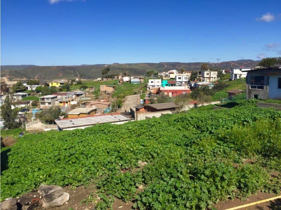 Terreno en venta en El Sauzal — foto 4