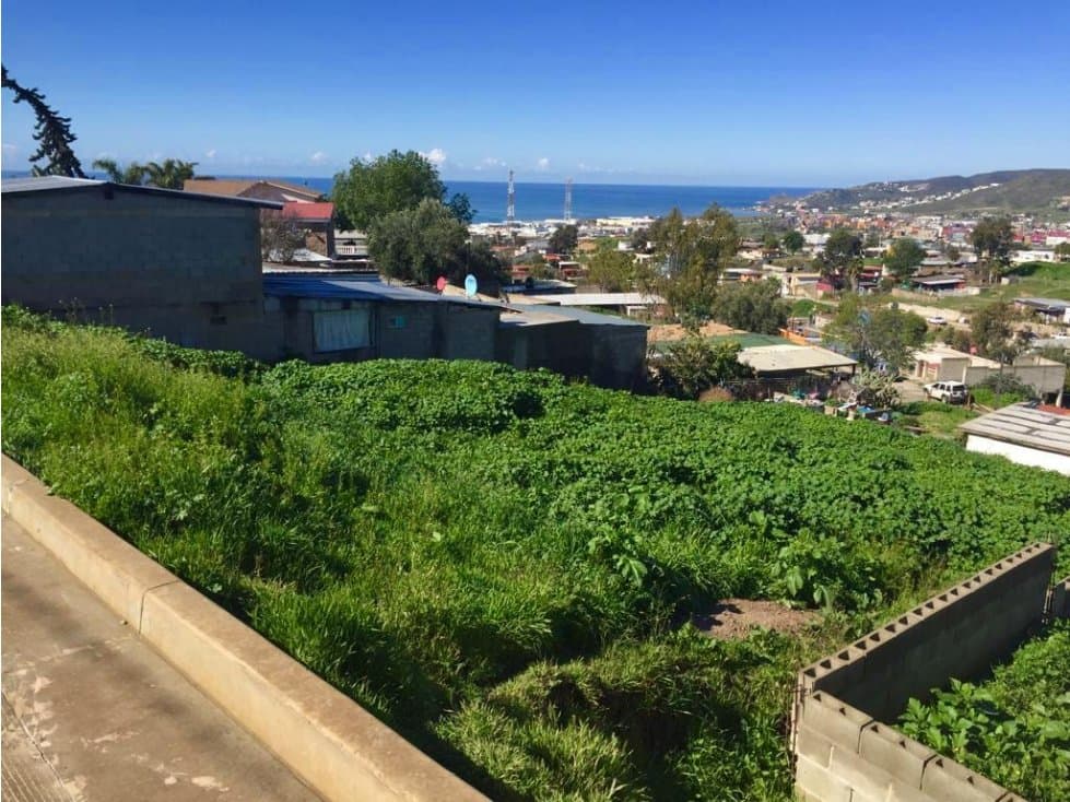 Terreno en venta en El Sauzal — foto 3