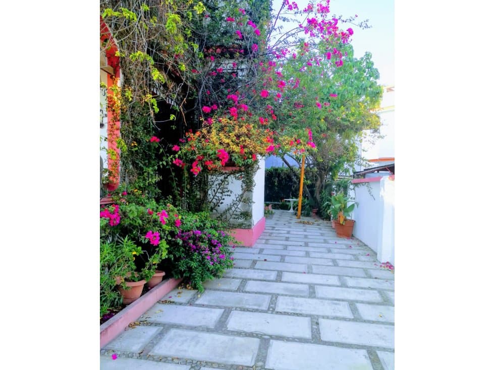 CASA EN VENTA O RENTA CERCA DEL MAR — foto 4