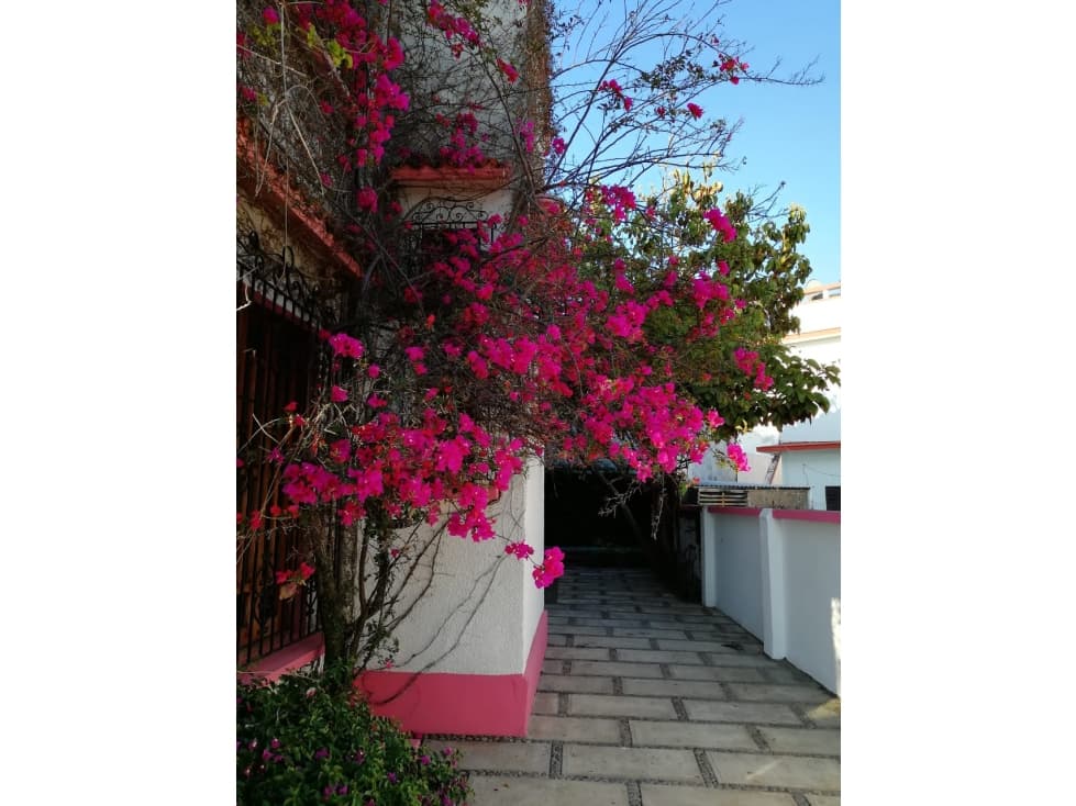 CASA EN VENTA O RENTA CERCA DEL MAR — foto 3