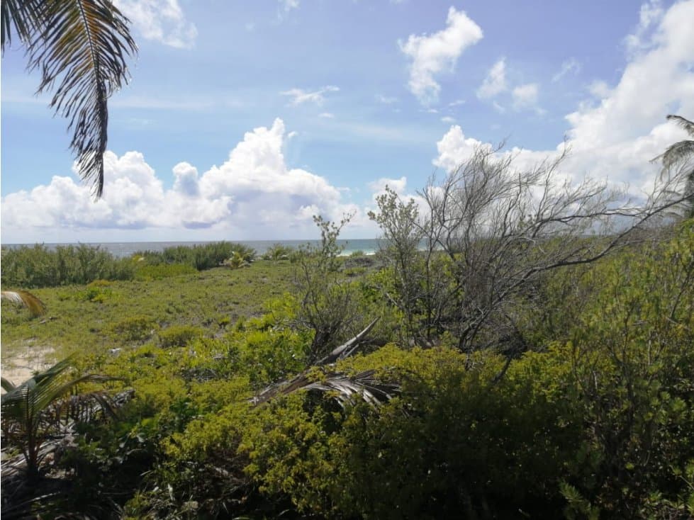 Terreno de 30 hectáreas Sian Ka'an — foto 2