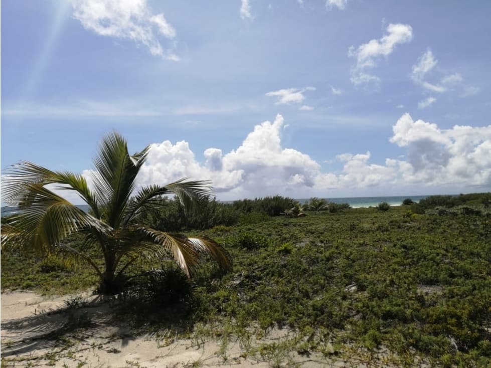 Terreno de 30 hectáreas Sian Ka'an — foto 3