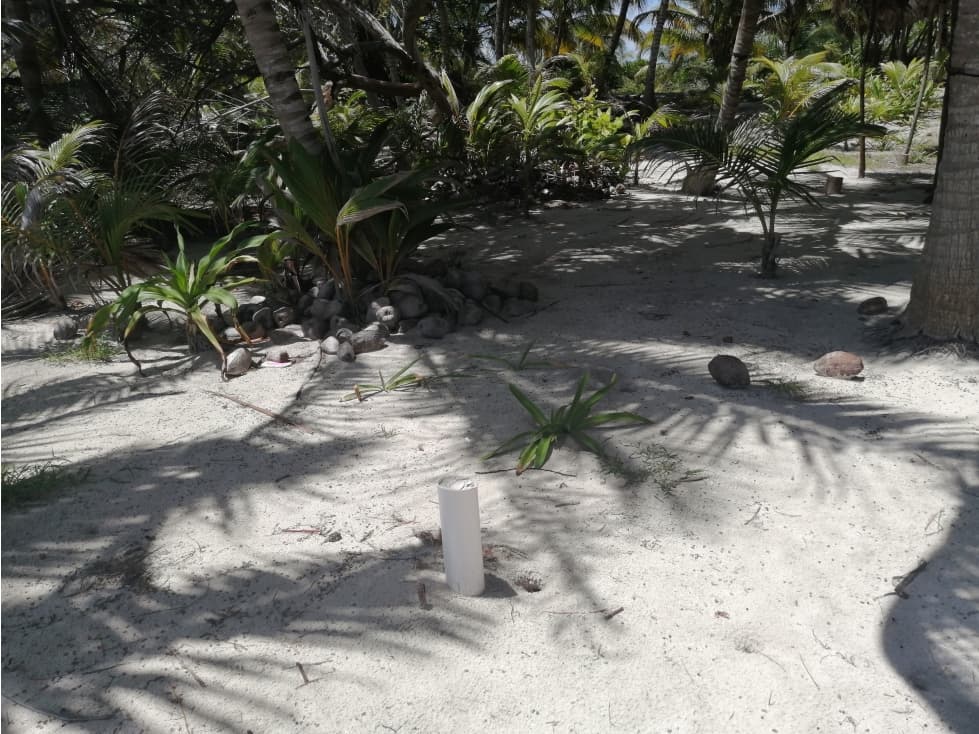 Hectáreas a pie de playa — foto 3