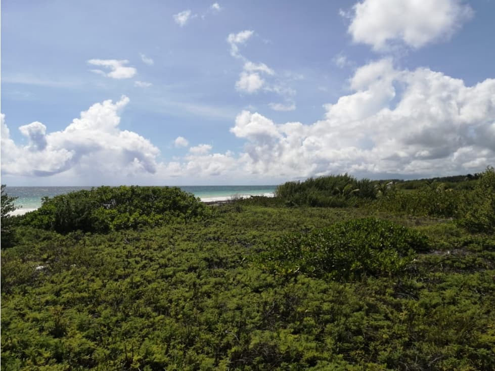 Terreno de 30 hectáreas Sian Ka'an — foto 6
