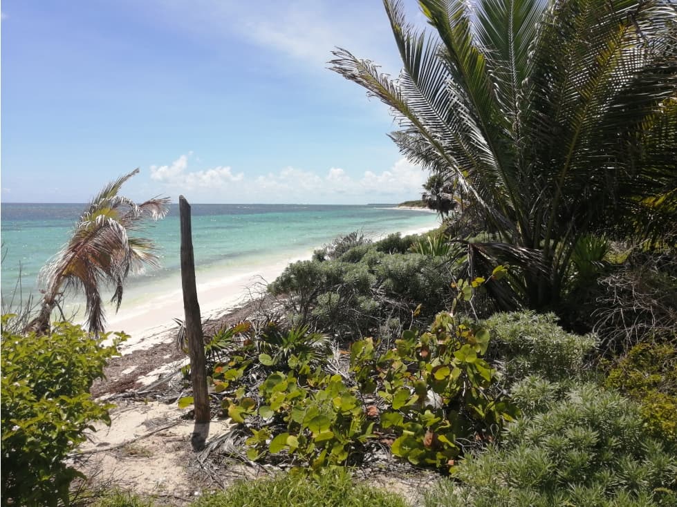 Hectáreas a pie de playa — foto 6