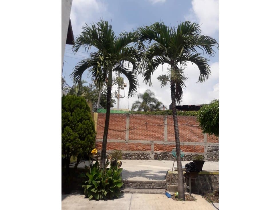 terreno en Venta en Col. Ampliación Bugambilias — foto 1