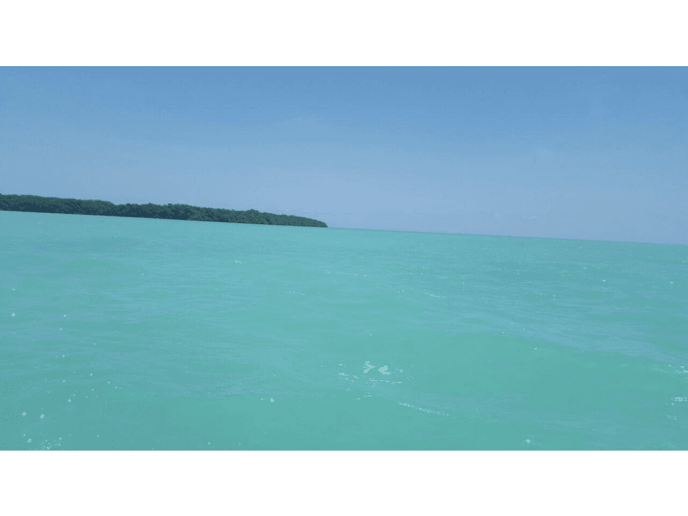 Venta Terreno en Punta Allen, Tulum — foto 5