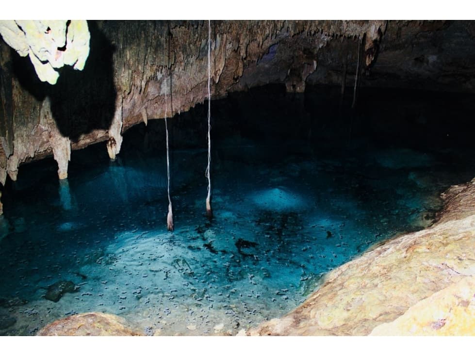 VENTA DE 140 HAS CON 10 CENOTES EN LA RIVIERA MAYA — foto 2