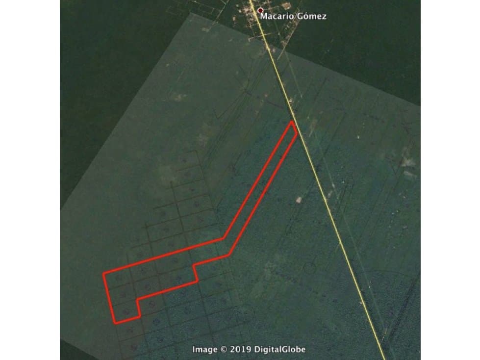 Venta Terreno Macario 100 hectáreas, Tulum — foto 1