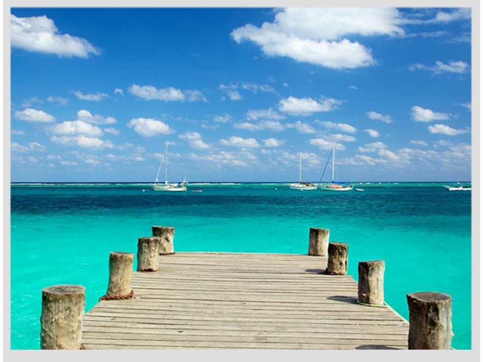EN PUERTO MORELOS, VENDO 10 HECTAREAS — foto 1