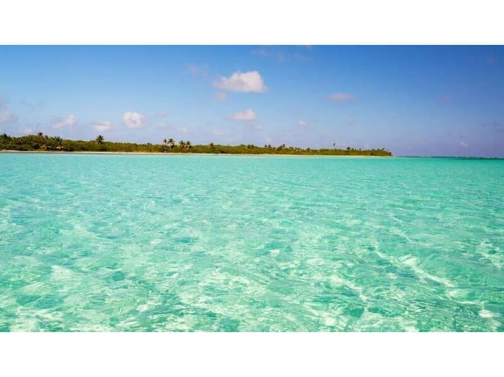 SIAN KAAN, PUNTA ALLEN; VENTA DE TERRENO — foto 1