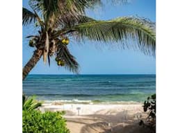LOTE DE 10 HAS EN AKUMAL, TULUM