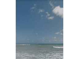 VENTA DE LOTE EN EL LIMONAR