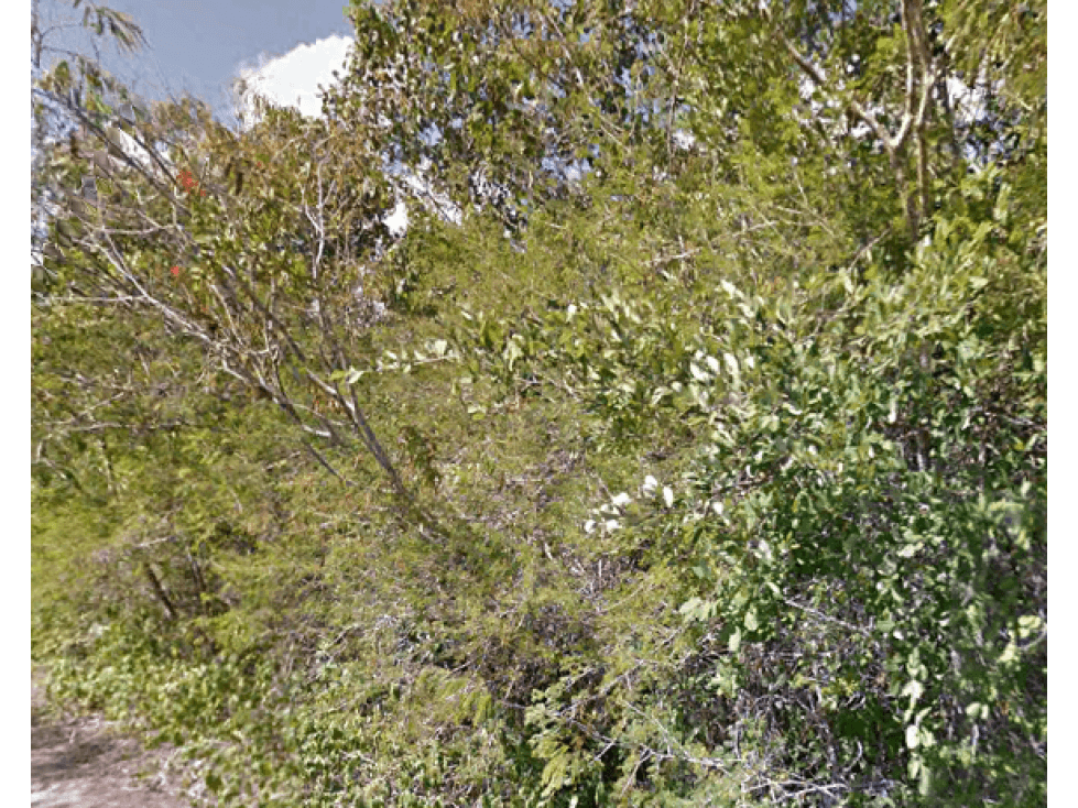 Se venden dos Terrenos de 460 m2 — foto 1