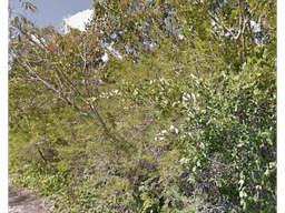 Se venden dos Terrenos de 460 m2