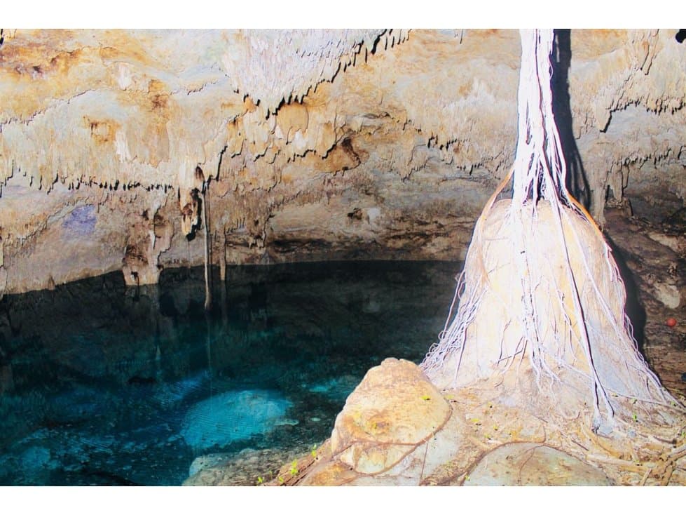 VENTA DE 140 HAS CON 10 CENOTES EN LA RIVIERA MAYA — foto 5